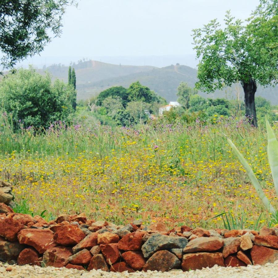 Quinta Das Piteiras-Turismo Rural ซิลเวส ภายนอก รูปภาพ