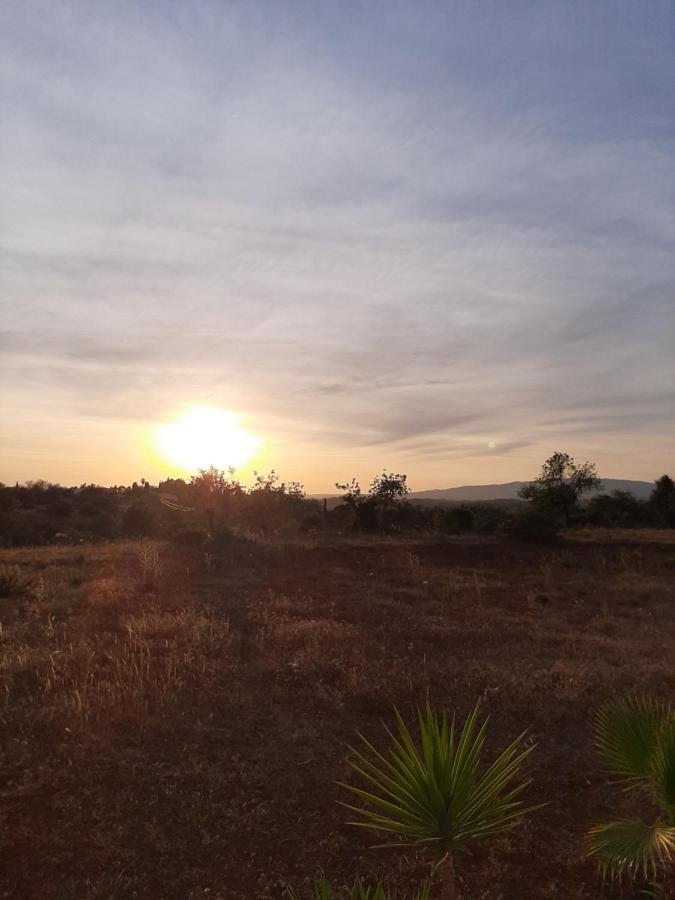 Quinta Das Piteiras-Turismo Rural ซิลเวส ภายนอก รูปภาพ